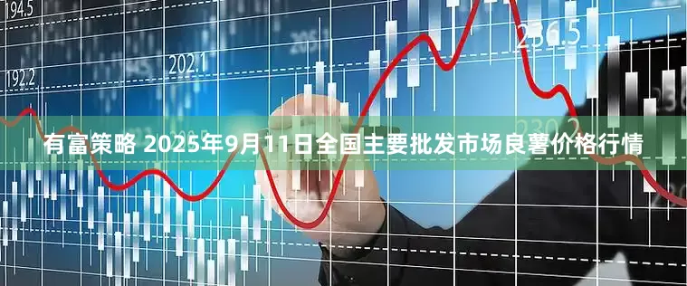 有富策略 2025年9月11日全国主要批发市场良薯价格行情